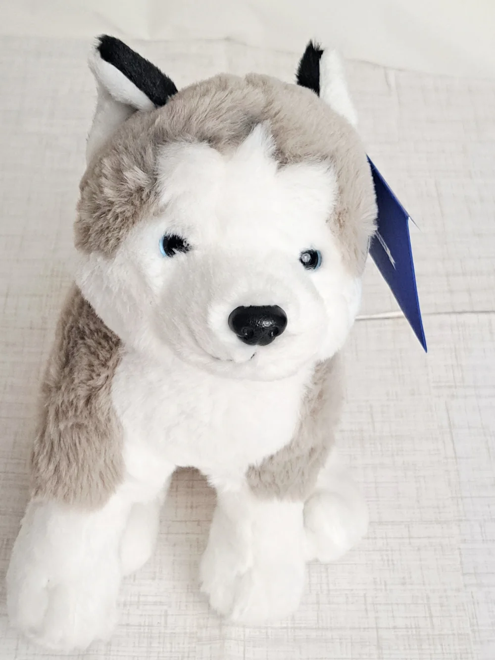 Hugs & Cuddles Rescue Center Husky Dog Toy - Gray & White Soft Chew Plush